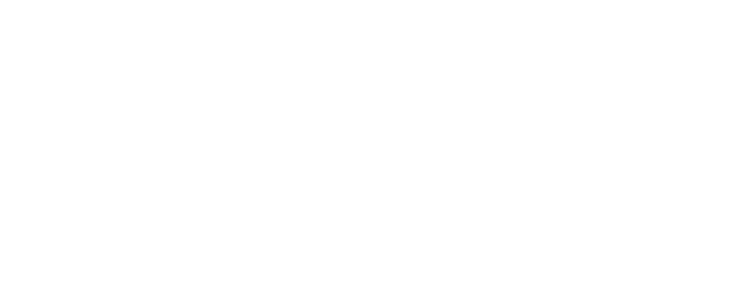 3ina_logo